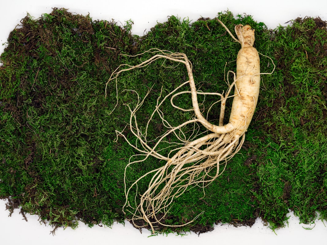 Herbal supplements for men's wellness